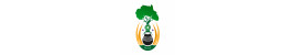 Impande The Root - "Efficient Traditional Medicine"" Impande The Root - "Efficient Traditional Medicine""